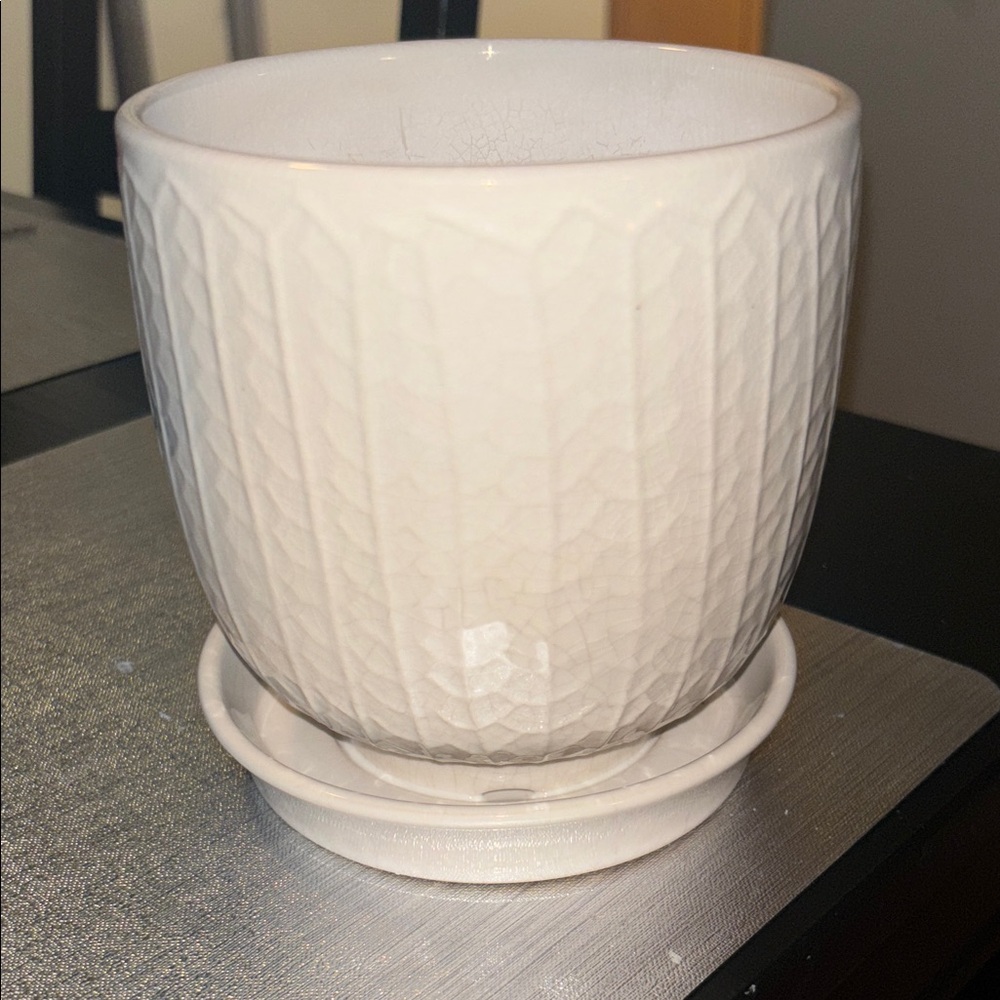 Ivory Plant Pot